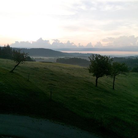 Apartament Urlaub An Der Grenze Lauterbach  Zewnętrze zdjęcie