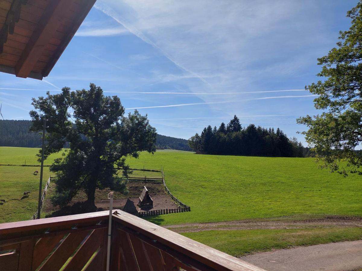 Apartament Urlaub An Der Grenze Lauterbach  Zewnętrze zdjęcie
